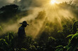 Farmer or picker working on his coffee farm, only silhouette visible against morning sunlight. Generative AI