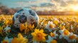 excitement of match day with a football resting on the radiant yellow field of a stadium, captured in high resolution cinematic photography against a sunny daffodil background.