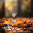 Autumn leaves glistening with raindrops on a wet surface