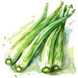 vegetable - Puntarelle is a type of chicory vegetable that is popular in Italian cuisine, particularly in the region of Lazio, which includes Rome.