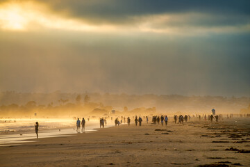 Canvas Print - Beautiful beach at Coronado, sunset time - San Diego