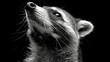   A black-and-white image of a dog gazing upward with widened eyes