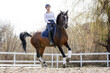 Equestrian Sport Image. Young Equestrian Girl Practices Dressage Vaults