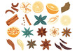 © Zaharia Levy - Exotic spice collection isolated vector style