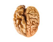 Half walnut and half brain closeup, brain health fatty acids and nutrition concept, PNG file isolated on transparent background. AI