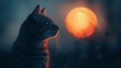 Silhouette of a tabby cat against the sunset. Evening contemplation and serenity concept. Design for wallpaper, print. Profile view with place for text