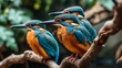 Riverside Gems: A Group of Colorful Kingfishers Perched on Overhanging Branches, Bringing Vibrant Hues to the Riverbank