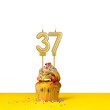 Birthday candle number 37 - Cupcake on white background