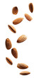 Falling almonds over isolated transparent background