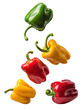 Colorful bell peppers falling over isolated white transparent background