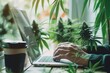Person working in laptop surrounded by cannabis plants. Medicinal CBD concept