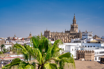 Canvas Print - Sevilla, Spain - April 2023: Aerial view of Seville Cathedral