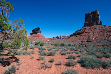 Poster - Garden of the Gods is federal BLM land filled with massive rock formations and hoodoos, located north of Monument Valley Tribal Park in southern Utah