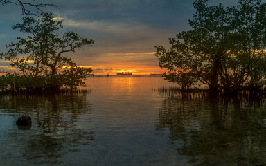 Wall Mural - Beautiful calm seaside at sunset with trees and rocks