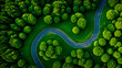 A road passes through dense green forests, aerial view from top