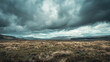 Dramatic cloudy sky over vast moorland with sparse vegetation in a panoramic landscape