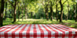 © Duka Mer - A red and white checkered tablecloth covers an outdoor picnic table, set against a blurred background of green trees in the park.