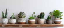 Scandinavian-style Room Decor Featuring A Mix Of Plants, Including Cacti And Succulents, In Trendy Pots Displayed On A Brown Shelf Against White Walls. This Design Embodies A Modern,