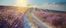 A Dirt Road Winding Through A Lavender Field Under The Bright Summer Sun