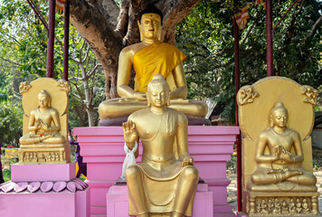 Golden statues of sitting Buddha outside Thai temple in Sarnath near Varanasi.