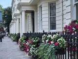 Fototapeta Londyn - London, row of elegant townhouses in Kensington or Belgravia