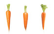 set of carrots isolated on transparent background