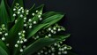 A stunning arrangement of white Lily of the Valley flowers set against a dramatic black backdrop showcasing their delicate beauty This exquisite bouquet features vibrant green leaves captur