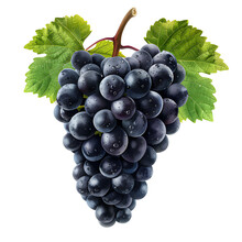 Clipart Illustration A Grape On White Background. Suitable For Crafting And Digital Design Projects.[A-0003]