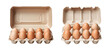 eggs in carton isolated on transparent background