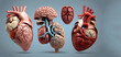 Human heart with circulatory system and lungs on dark background. 3d illustration generative by ai...