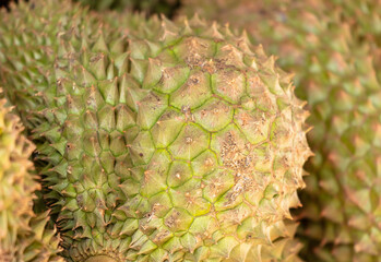Wall Mural - Durian fruit as background. Close-up