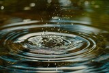 Fototapeta  - Sunlit Water Droplet Impact on Tranquil Pond Surface