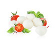 Mozzarella cheese balls, tomatoes, basil leaves and peppercorns for caprese salad isolated on white background. Mockup for advertising or product packaging design. Perfect retouched.