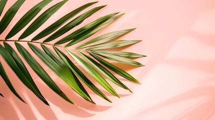 Wall Mural - Green palm leaf on pastel pink background Minimal summer or spring concept Pink aesthetic Flat lay copy space : Generative AI