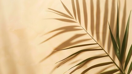 Aufkleber - Abstract background with tropical palm leaves shadow on beige wall Creative minimal design with copy space Summer concept flat lay : Generative AI