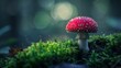 Red fly agaric growing in moss closeup : Generative AI