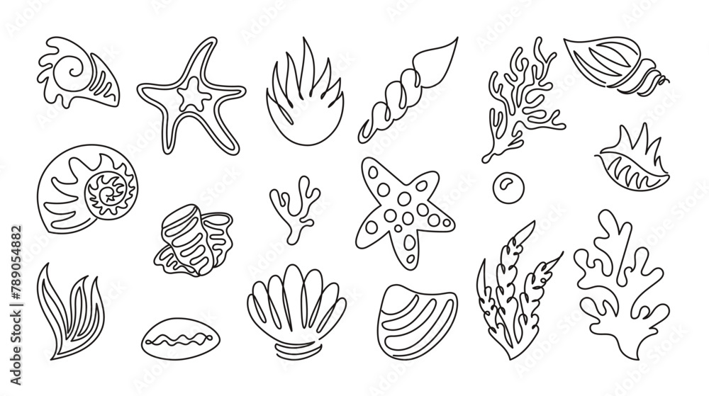 Line shell sea. Art outline. Beach starfish, seashell, animal star ...