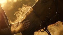 The Rider Strokes The Muzzle Of A Bay Horse Closeup In The Rays Of The Morning Sunrise Clouds Of Steam From The Horses Mouth Are Visible : Generative AI