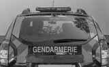Fototapeta Most - Véhicule de gendarmerie 