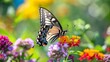 A close-up of a swallowtail butterfly feeding on nectar from a colorful bouquet of wildflowers, illustrating the essential role of butterflies in ecosystem health.
