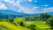 日本の夏のの農村風景