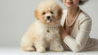  A sophisticated lady wearing pearls posing with a fluffy Bichon Frise puppy,