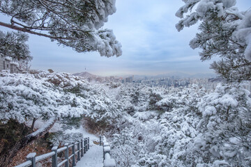 Wall Mural - Seoul City in winter with snow and Seoul Tower South Korea