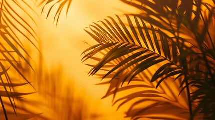 Aufkleber - Tropical shadow on orange background Tropic palm leaf overlay on thanksgiving and halloween backdrop Product display Natural silhouette on wall Flat lay : Generative AI