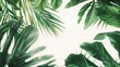 Real leaves with white copy space backgroundTropical Botanical nature concepts design : Generative AI