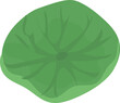 Lotus leaf cartoon illustration on transparent background.
