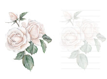 White Roses Watercolor Illustration. Hand Drawn, Isolated White Background, Flower Clipart. For Bouquets, Wreaths, Arrangements, Wedding Invitations, Anniversary, Birthday, Postcards, Greetings