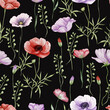 Floral seamless pattern with wildflowers and herbs. Watercolor illustration blossoming meadow background. red poppy flower