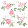 watercolor pink rose flower bouquet wreath frame collection