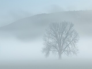 Misty Enigma: Sunlit Landscape Amidst Ethereal Fog